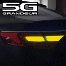 EXLED HYUNDAI 5G GRANDEUR HG LED SIGNAL MODULE